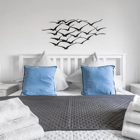 Kiebitz * אולפניץ